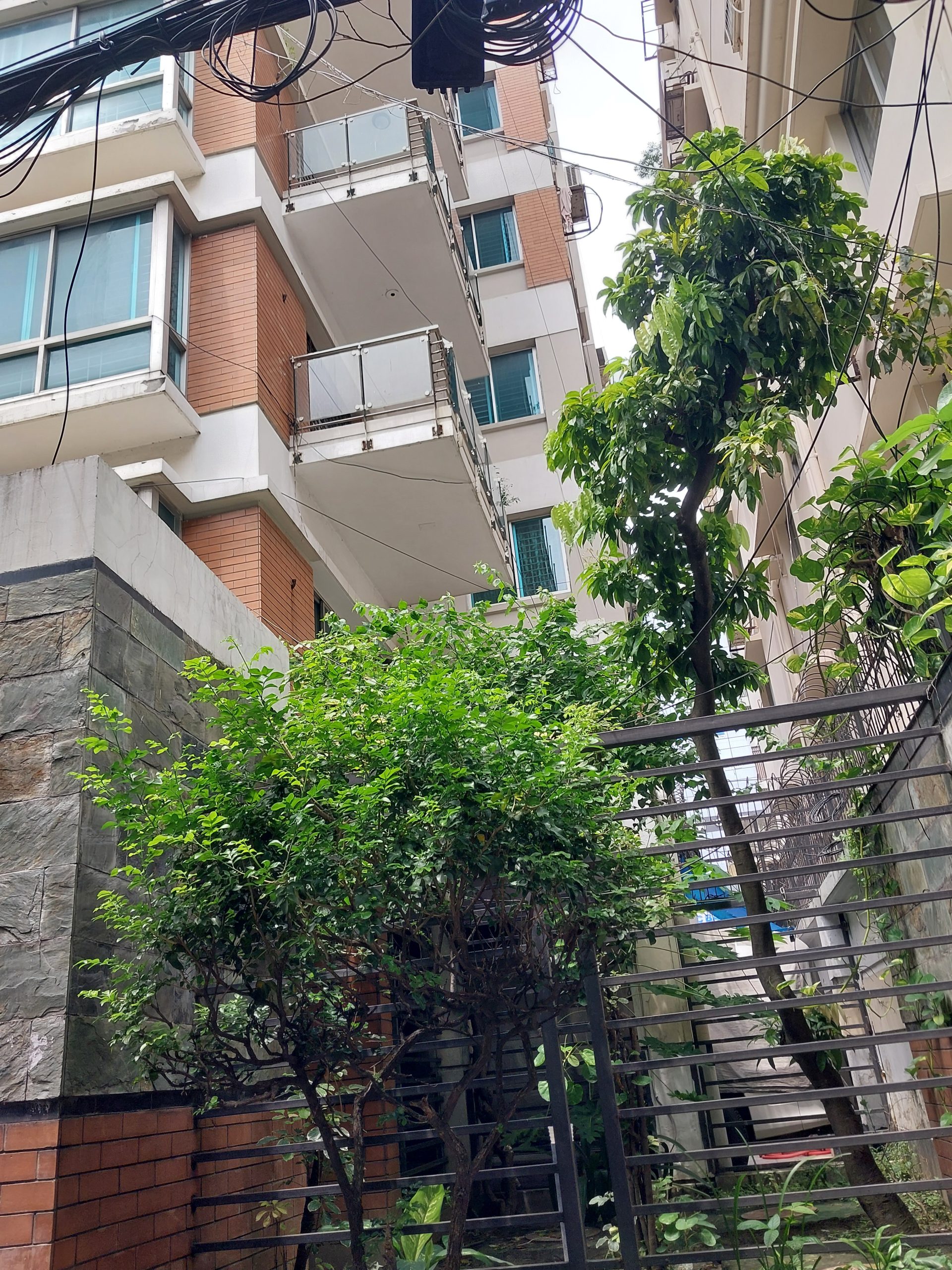 20240820_123837 - Copy