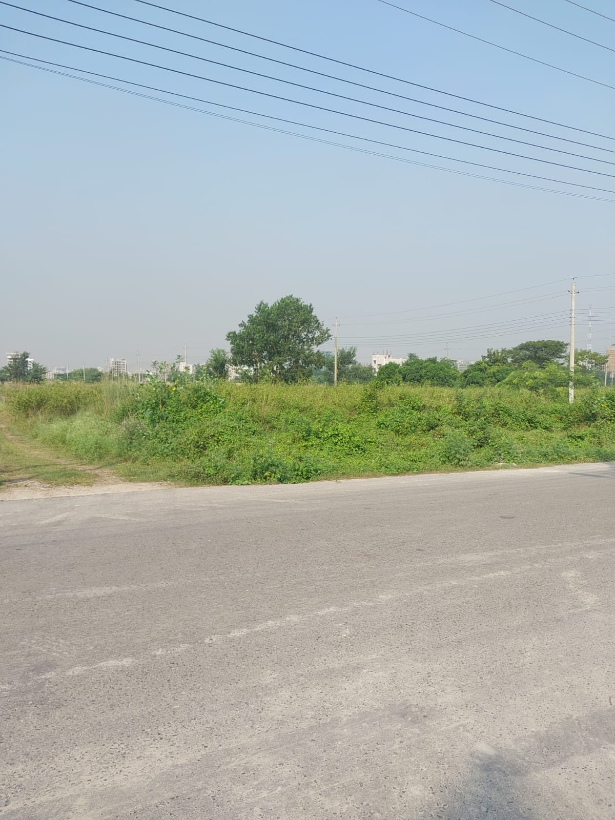 WhatsApp Image 2025-08-15 at 15.51.04_880d6e8a