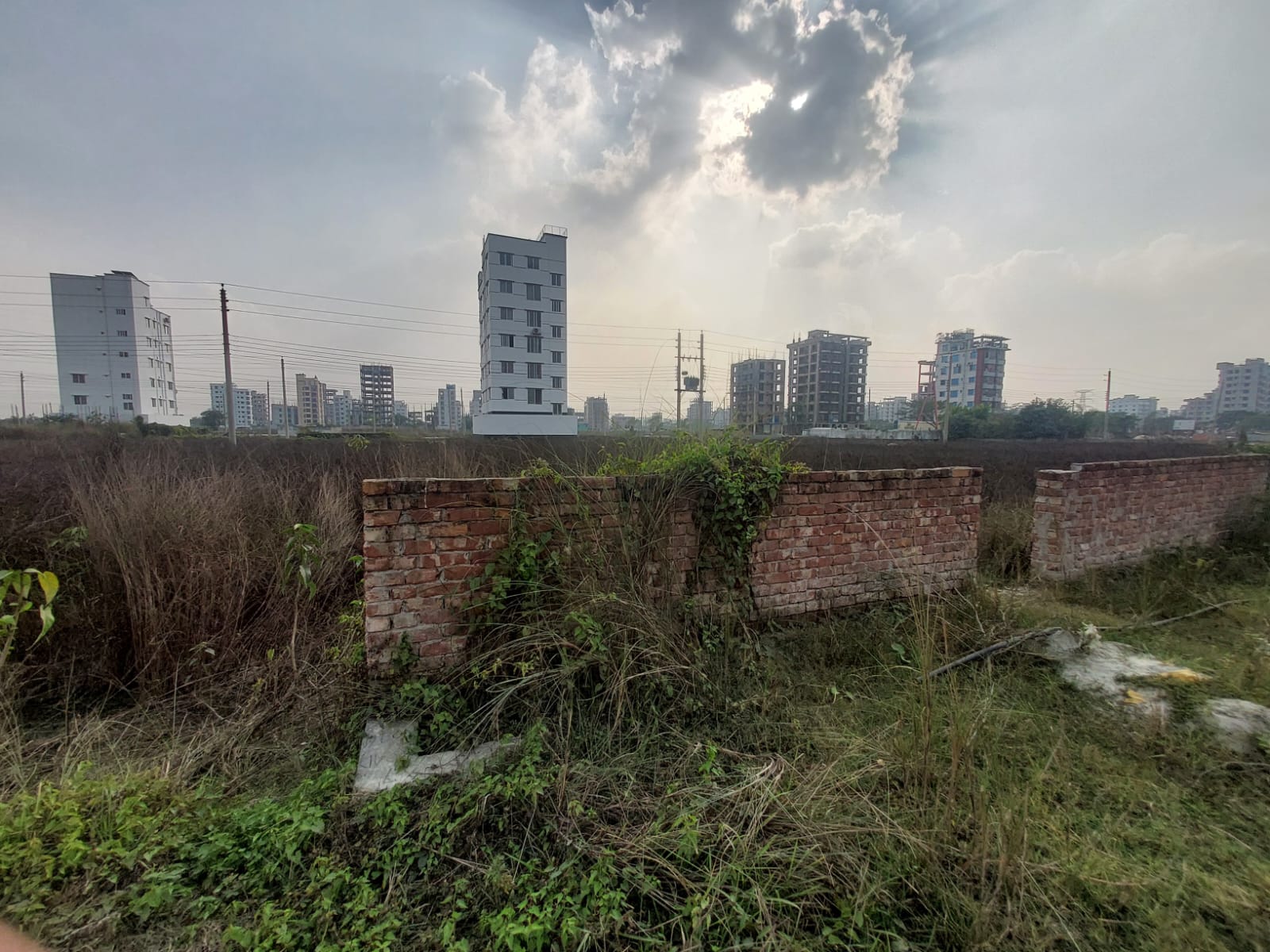 WhatsApp Image 2025-08-15 at 15.52.53_87b19fb9